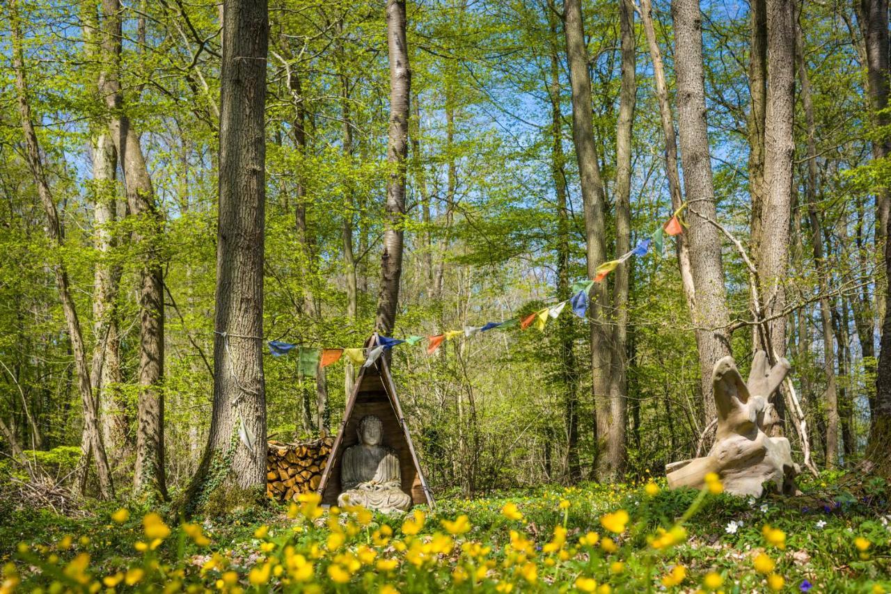 Gites Du Bois Des Perruches Saint-Vincent-des-Bois 외부 사진