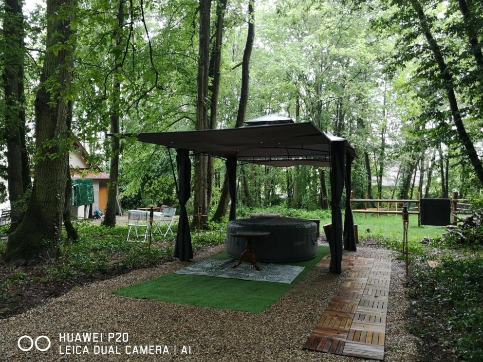 Gites Du Bois Des Perruches Saint-Vincent-des-Bois 외부 사진