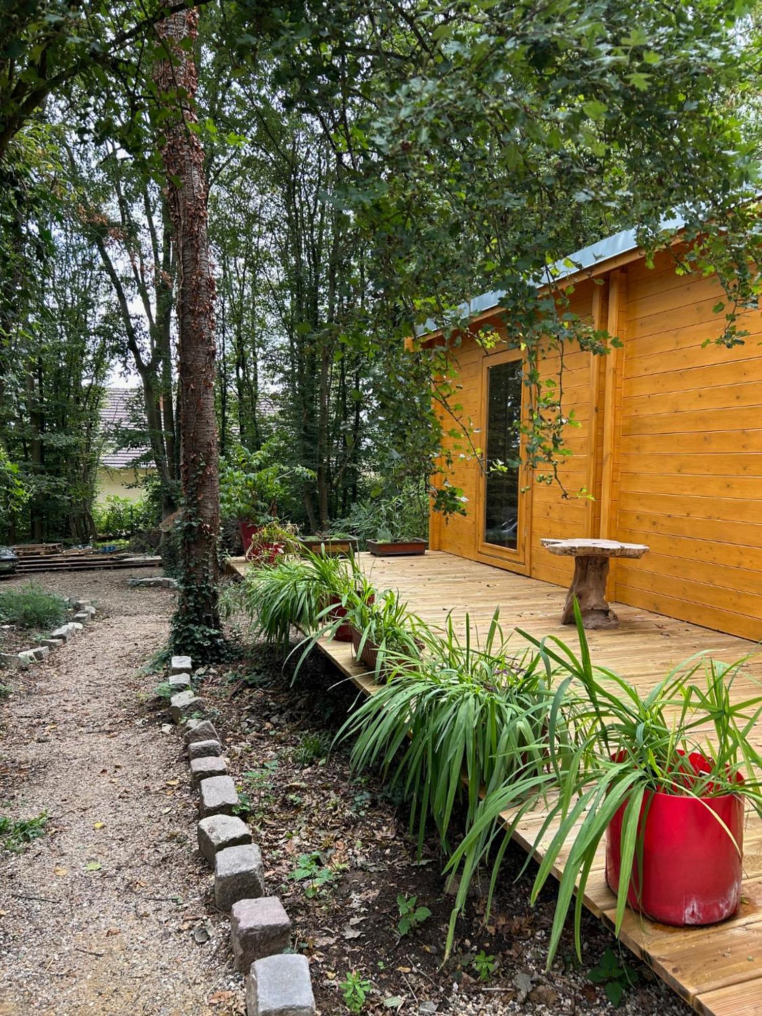 Gites Du Bois Des Perruches Saint-Vincent-des-Bois 외부 사진
