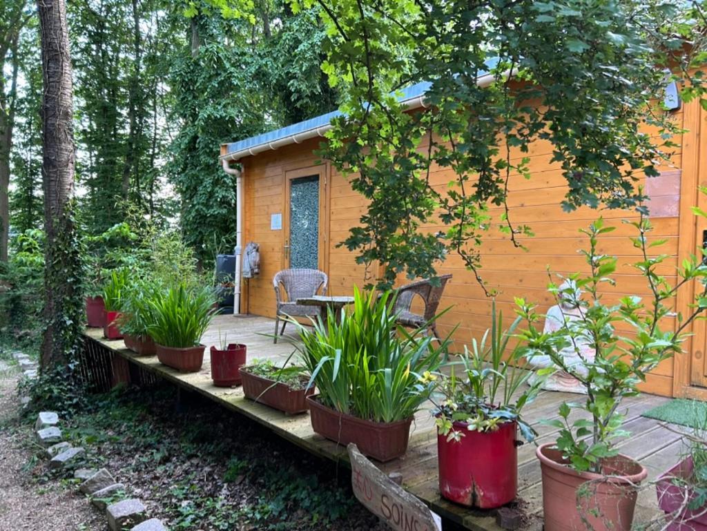 Gites Du Bois Des Perruches Saint-Vincent-des-Bois 외부 사진