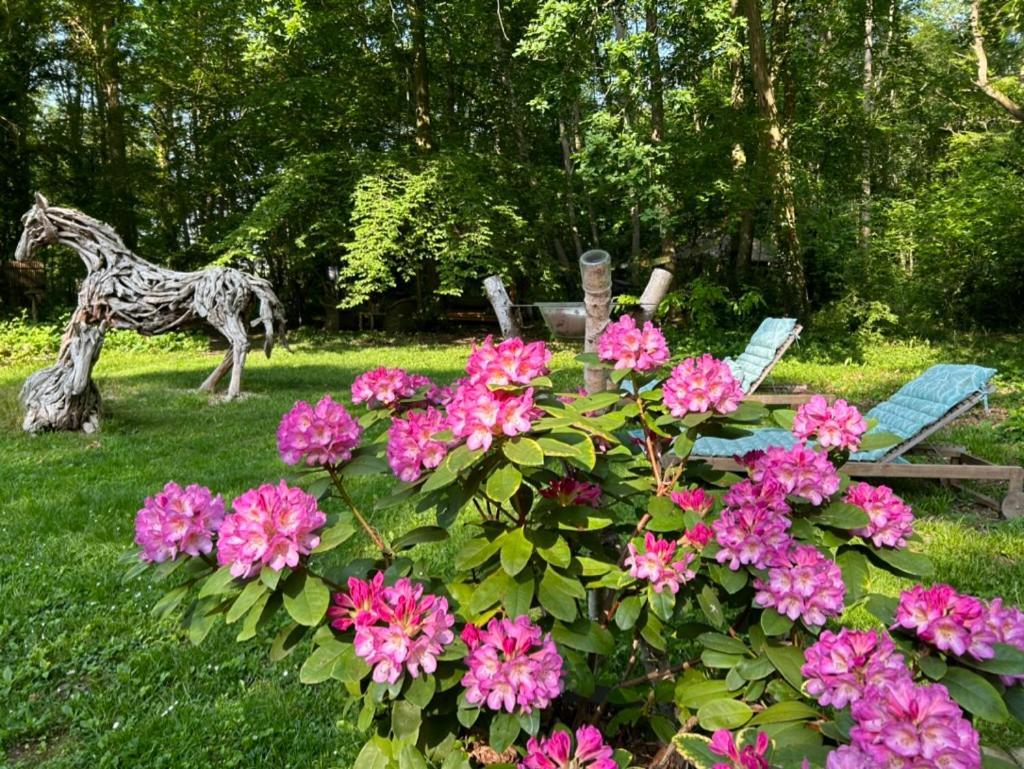 Gites Du Bois Des Perruches Saint-Vincent-des-Bois 외부 사진
