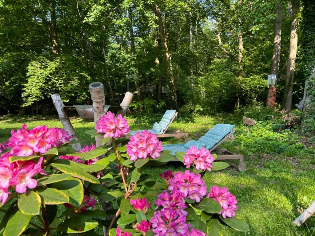 Gites Du Bois Des Perruches Saint-Vincent-des-Bois 외부 사진